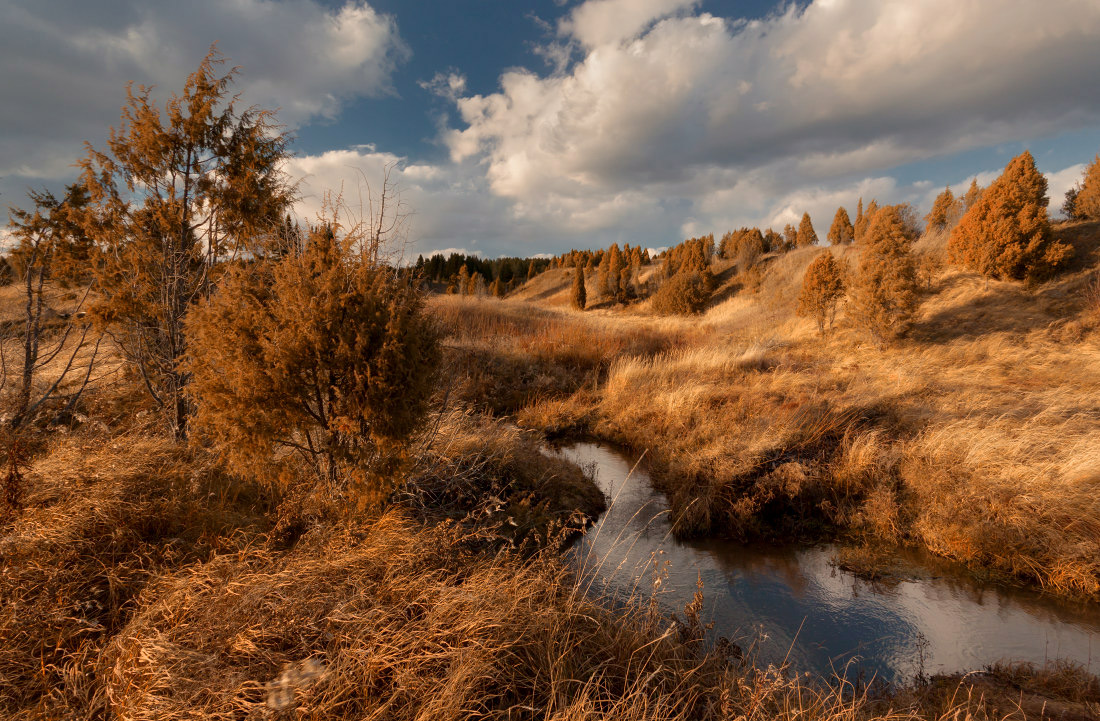 фото "Рыжая осенняя речка" метки: пейзаж, Речка, деревья. лес, краски, облака, осень, трава