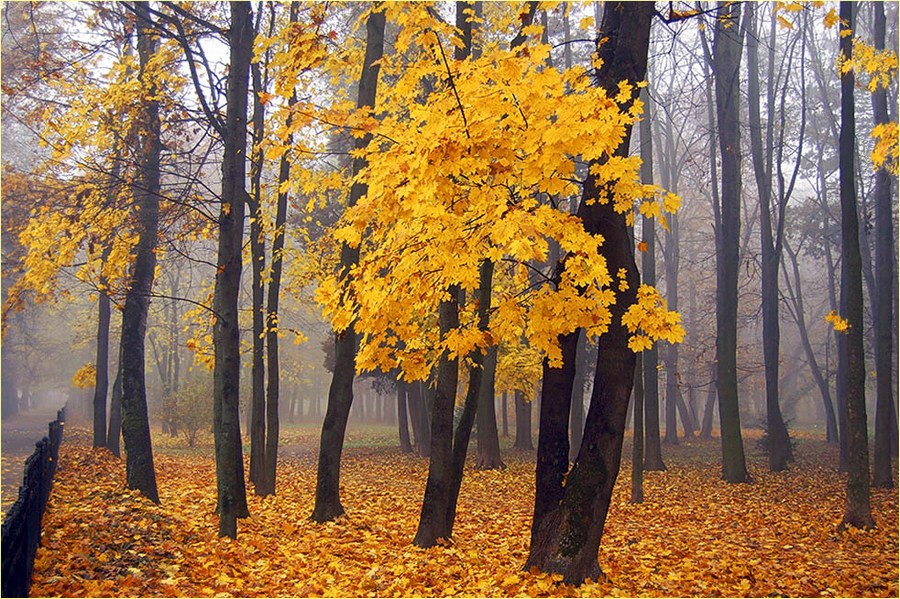 фото "..." метки: пейзаж, 