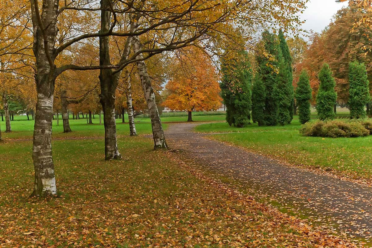 photo "***" tags: landscape, city, autumn