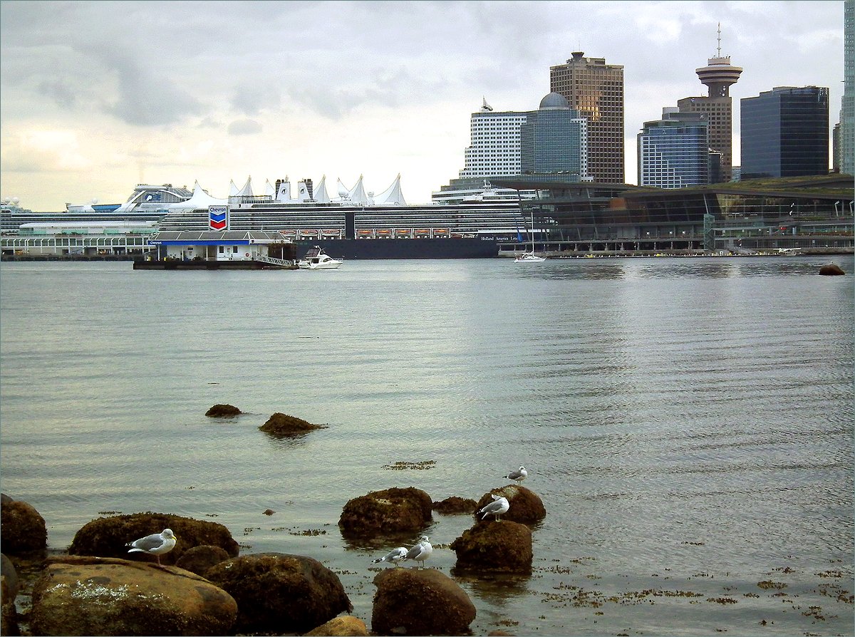 photo "Port landscape with seagulls" tags: landscape, travel, nature, Canada, Vancouver