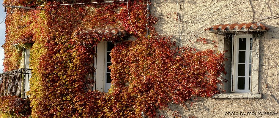 photo "autumn is here" tags: reporting, 