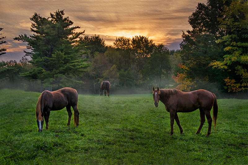 photo "***" tags: landscape, 