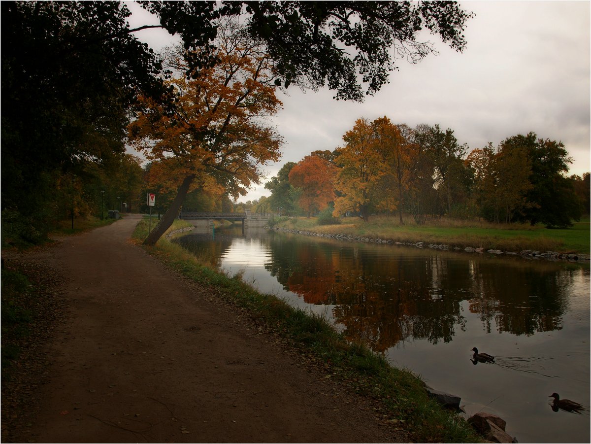 фото "Autumn in Sweden" метки: пейзаж, 