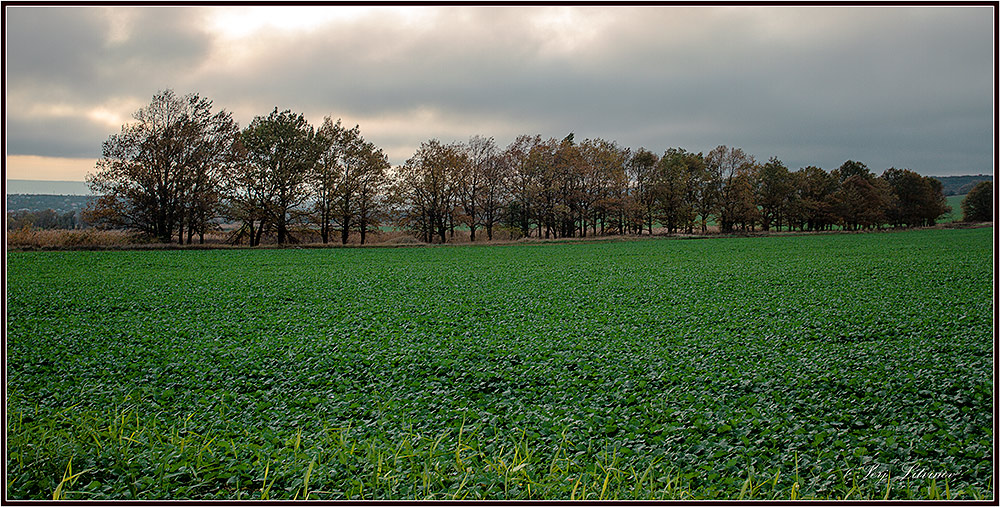 photo "***" tags: landscape, 