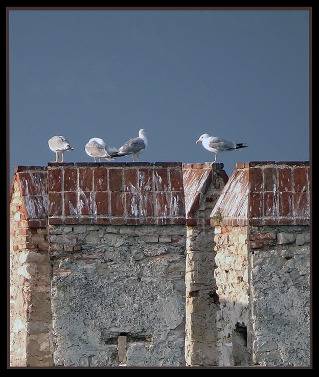 фото "***" метки: разное, пейзаж, 