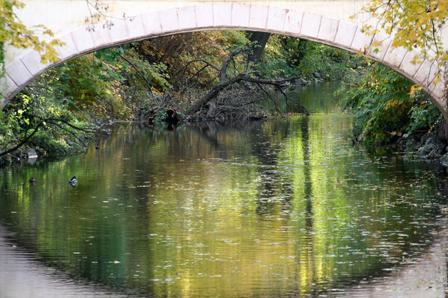 photo "Reflections in Prague" tags: fragment, city, autumn