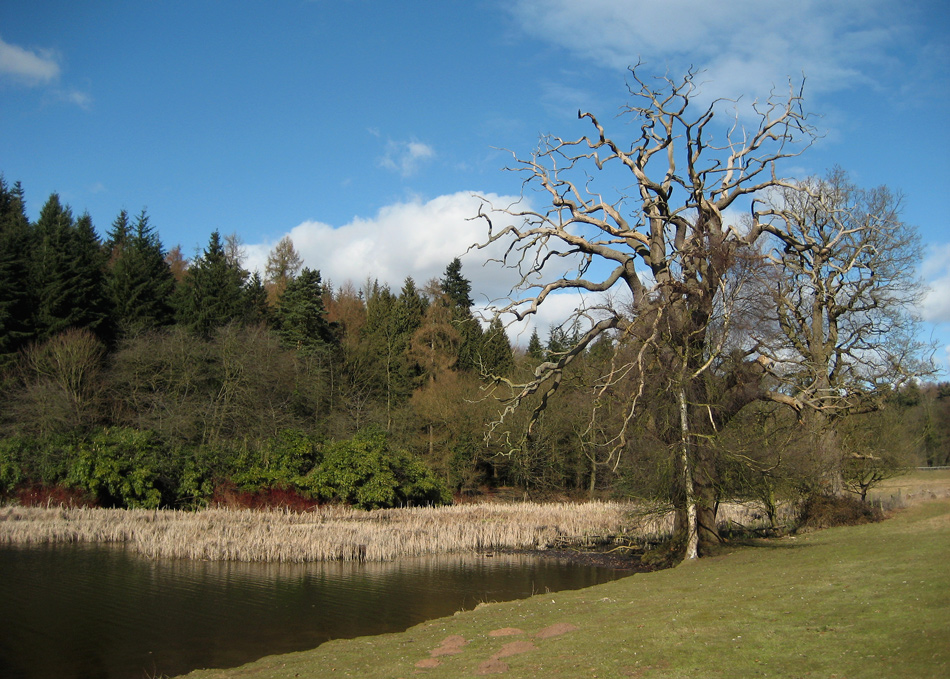 photo "***" tags: landscape, autumn, water