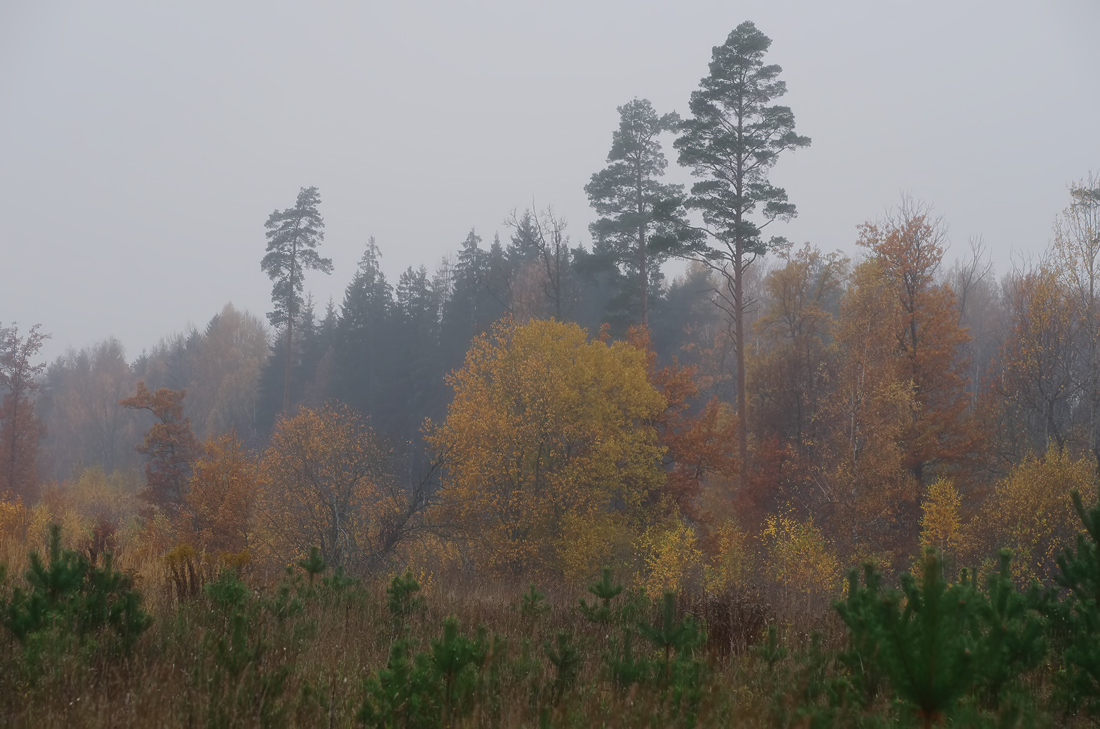 фото "***" метки: пейзаж, 