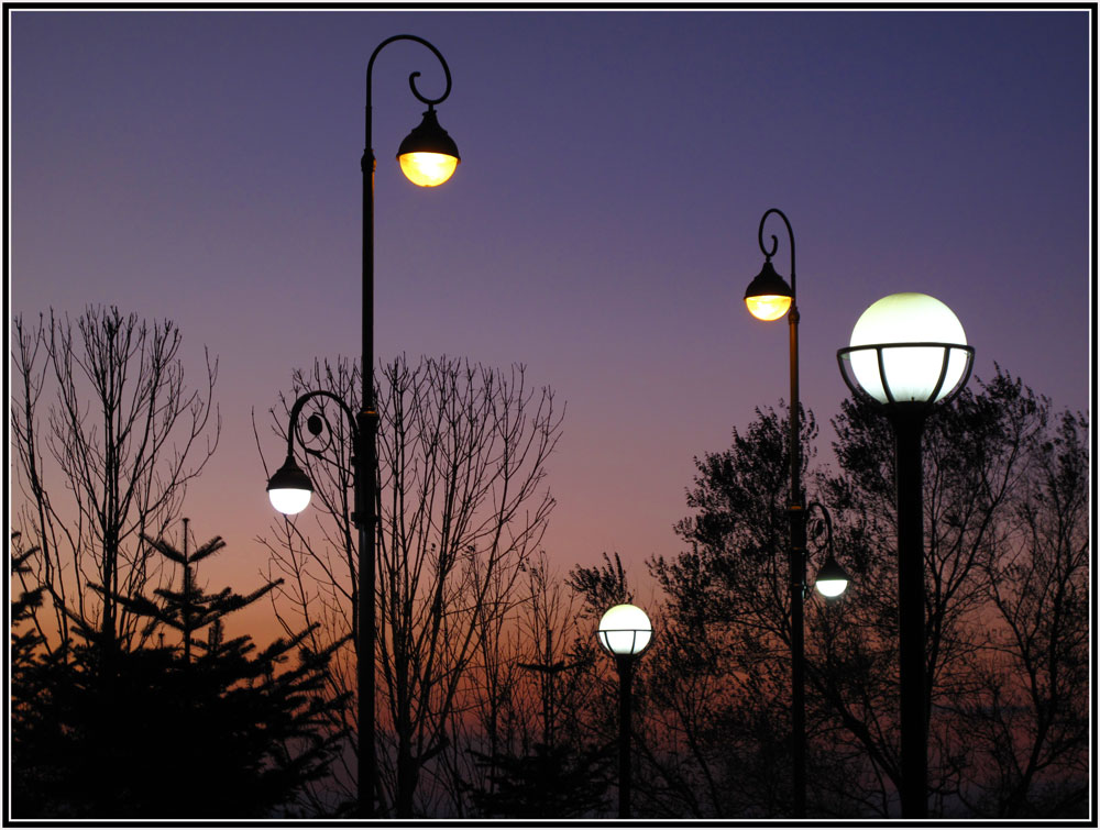 photo "***" tags: city, lamp, night