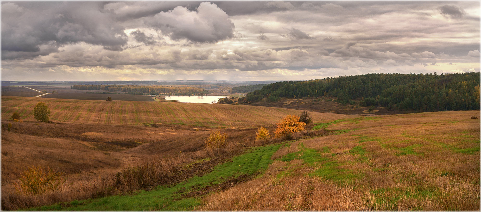 photo "***" tags: landscape, panoramic, nature, autumn, field, forest, просторы