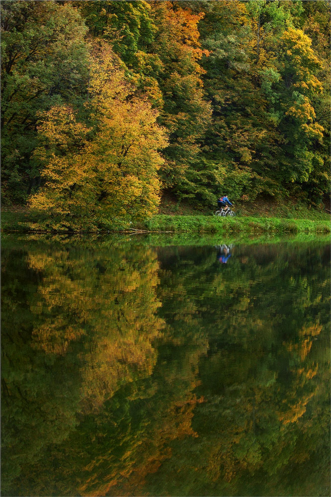 фото "Прогулка в осень" метки: пейзаж, природа, лес, осень, река