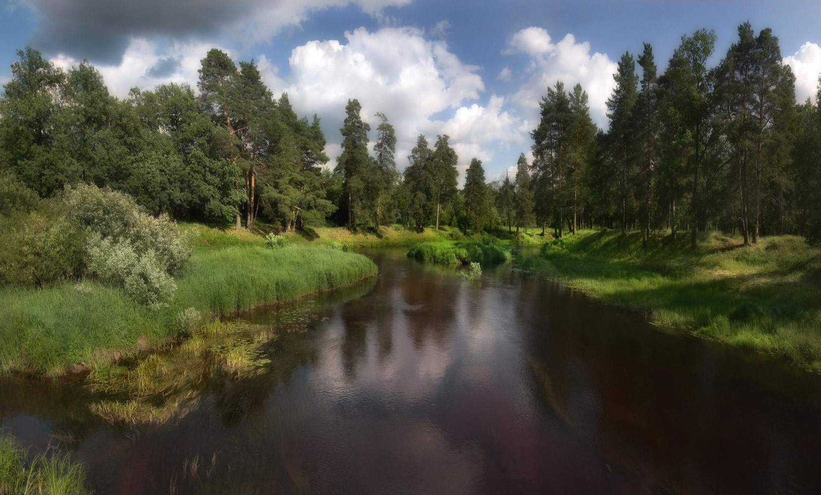 photo "***" tags: landscape, panoramic, nature, forest, river, summer, Керженец