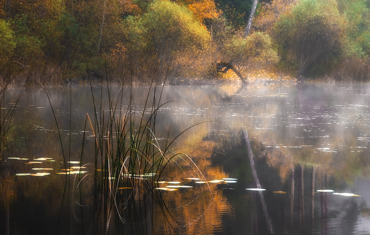 фото "*" метки: , 