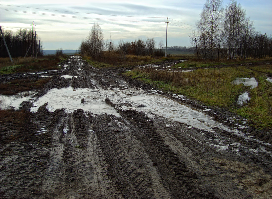 photo "...er.." tags: landscape, road, ноябрь