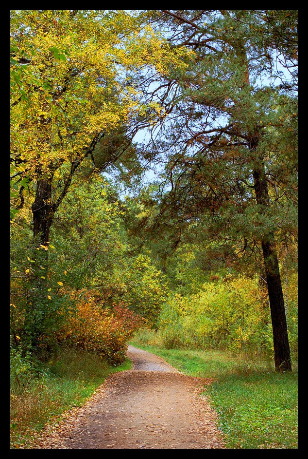 photo "Journey in autumn" tags: landscape, autumn, forest