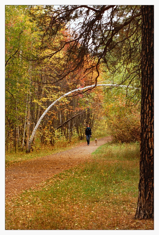 фото "***" метки: пейзаж, лес, осень