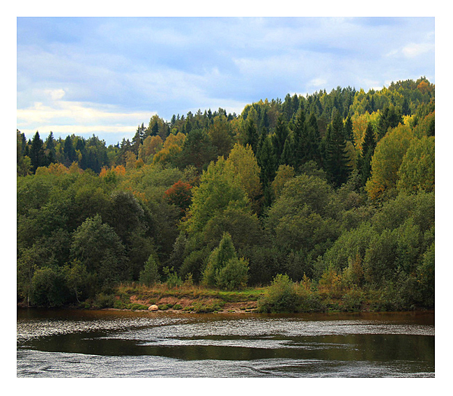 photo "Svir River" tags: landscape, travel, autumn, forest, river, water, свирь