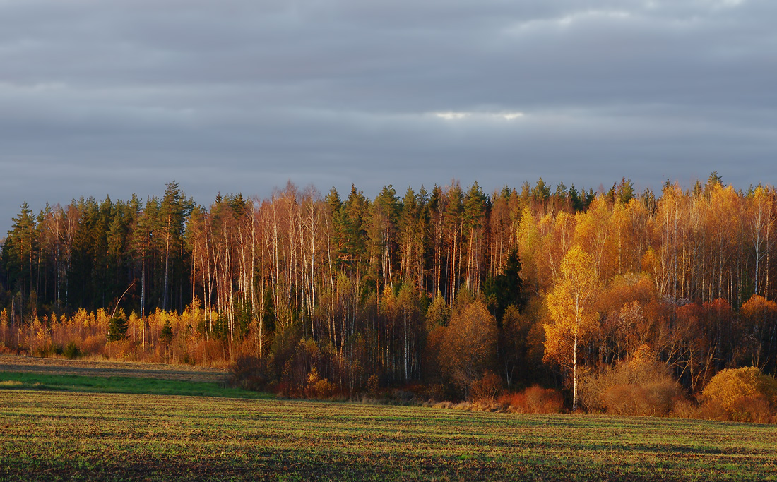 фото "***" метки: пейзаж, 