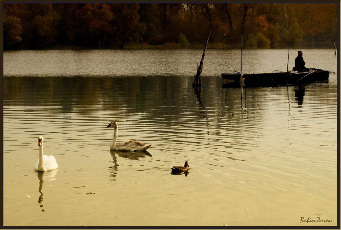 photo "Three Graces" tags: landscape, 