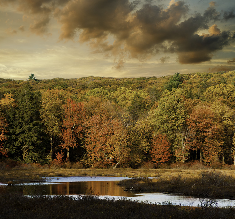 фото "Pine Swamp at Harriman State Park" метки: пейзаж, природа, Harriman State Park, foliage, вода, лес, облака, осень