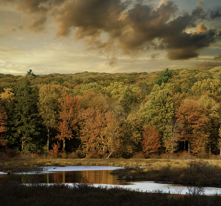 photo "Pine Swamp at Harriman State Park" tags: landscape, nature, Harriman State Park, autumn, clouds, foliage, forest, water