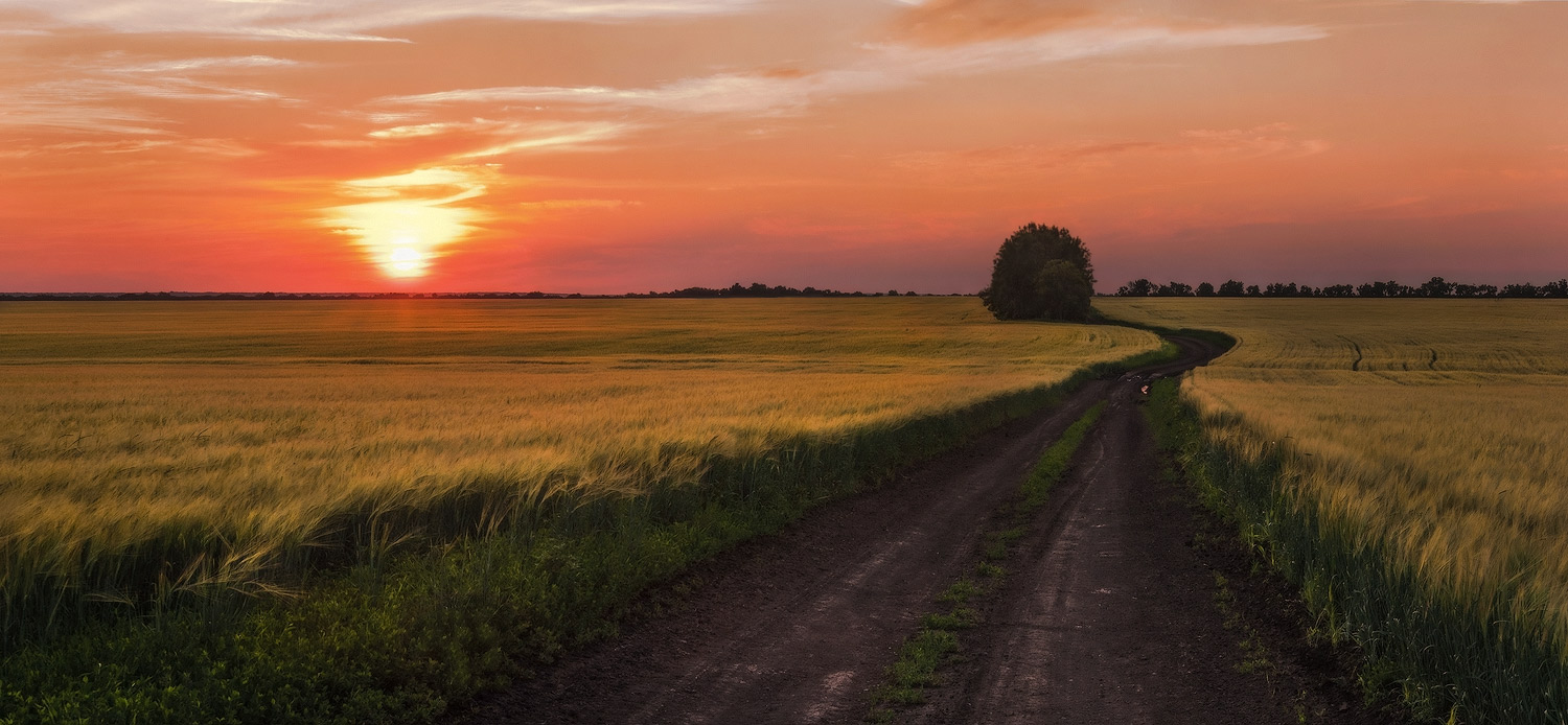 фото "Вечерняя дорога" метки: пейзаж, 