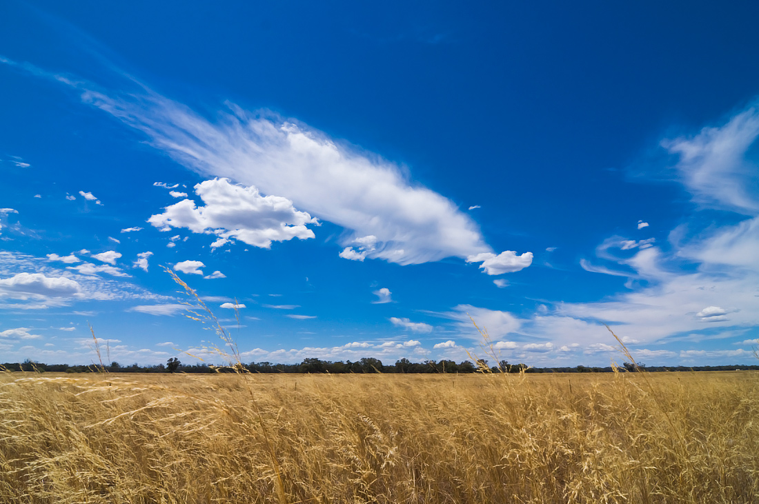 фото "Поле_3" метки: пейзаж, field, harvest, summer, небо, облака