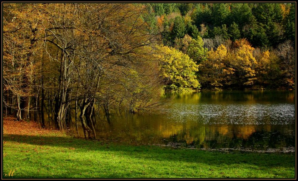 фото "Autumnal pastel" метки: пейзаж, 