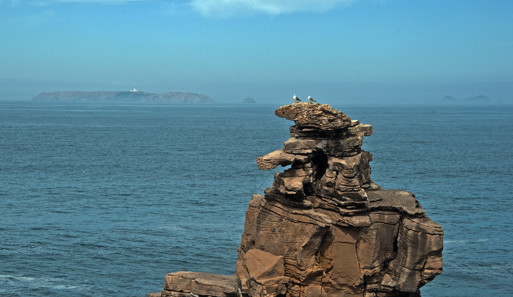 photo "Cape Carvoeiro" tags: landscape, panoramic, Carvoeiro, Europe, Peniche, Portugal, birds, cape, coast, islots., water