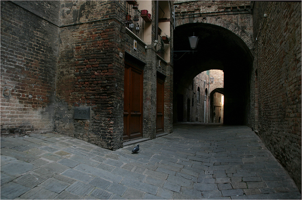 photo "The Lonesome pigeon" tags: architecture, city, street, 