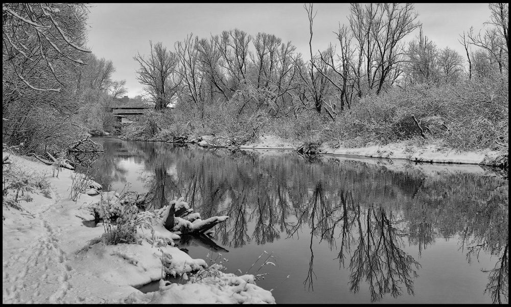 фото "Зима" метки: пейзаж, черно-белые, 