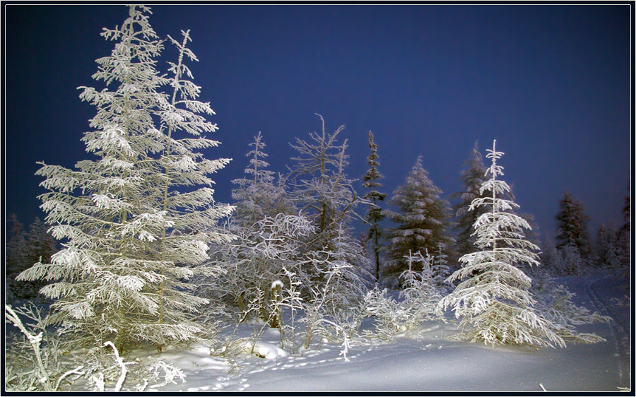 photo "***" tags: landscape, evening, taiga, winter, Якутия, мороз