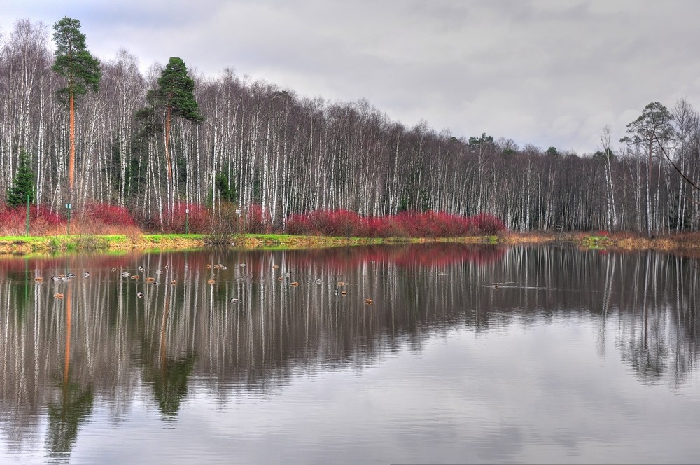 фото "Глубокая осень" метки: пейзаж, природа, лес