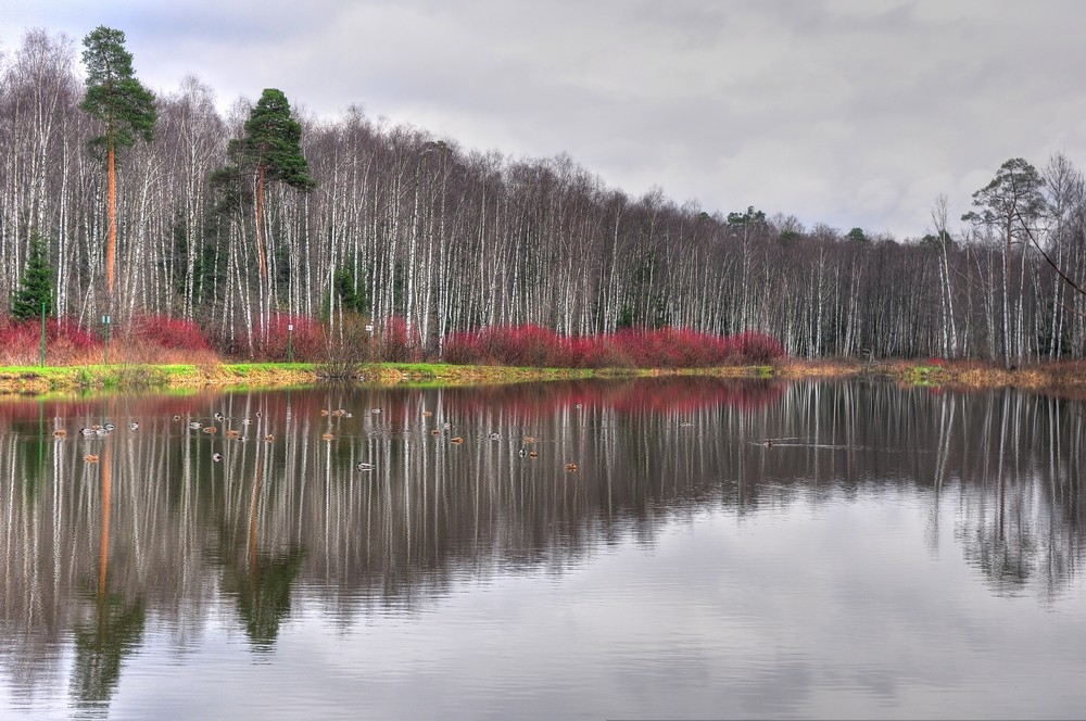 photo "***" tags: landscape, nature, forest