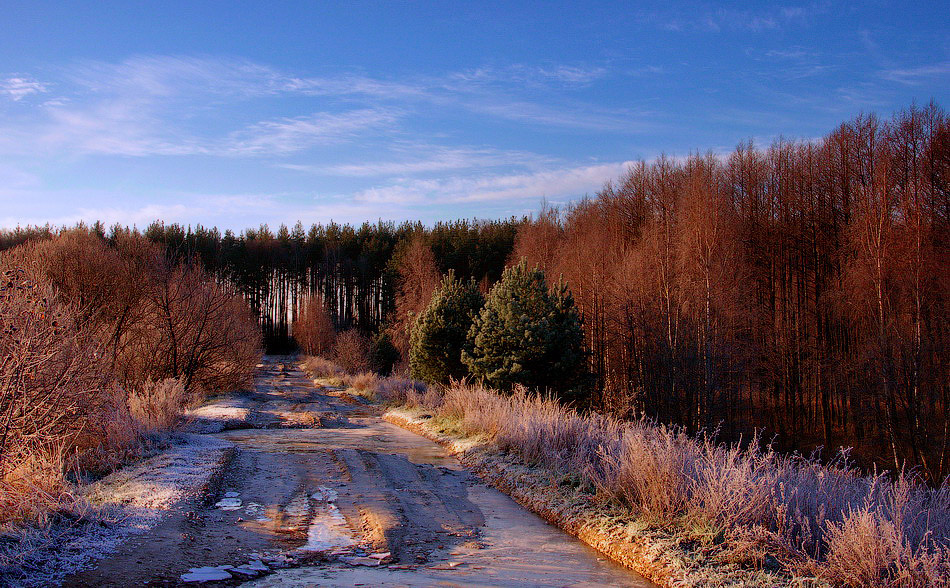 фото "Утром" метки: пейзаж, 