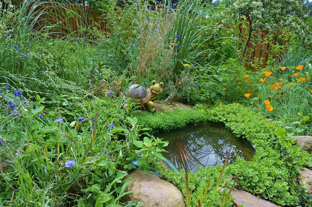 фото "Тортилла" метки: разное, лето, трава, цветы