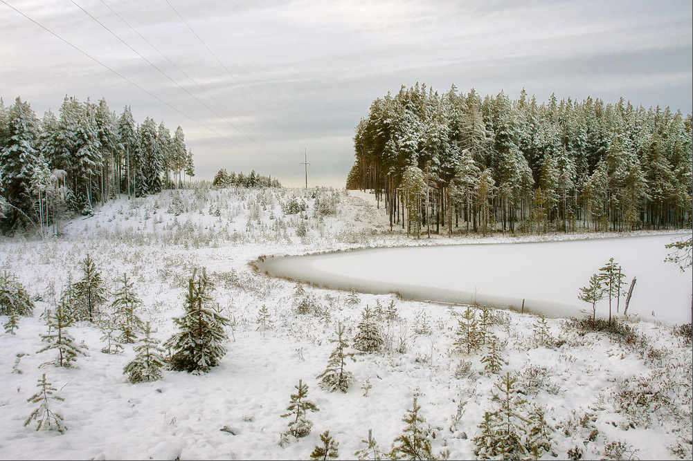 фото "Ноябрь" метки: пейзаж, 