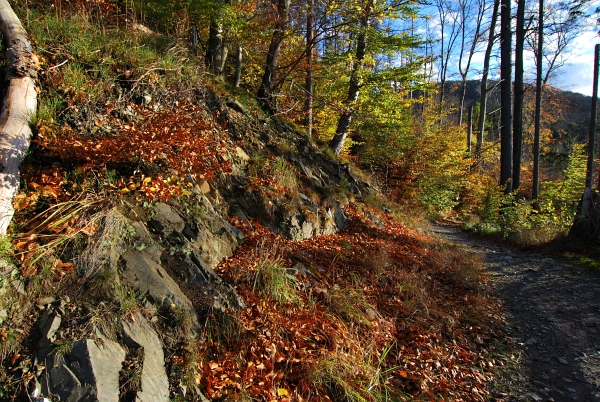 фото "Autumn" метки: пейзаж, путешествия, природа, 