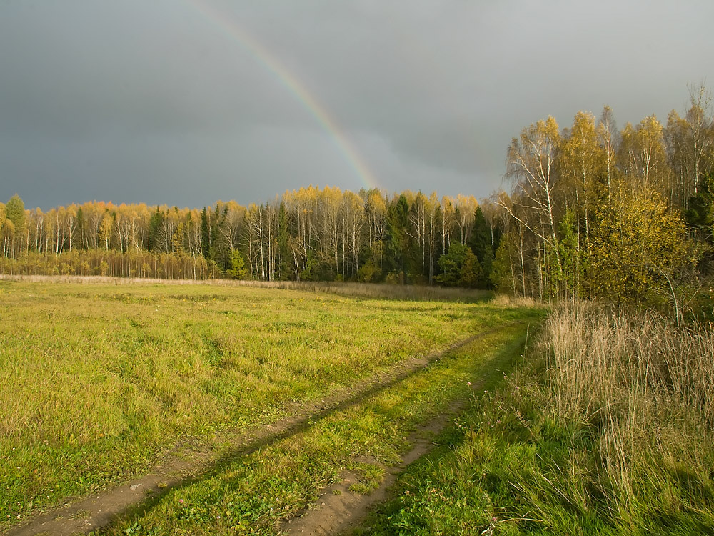 фото "Веселенькая осенняя" метки: пейзаж, Беларусь, лес, осень, радуга