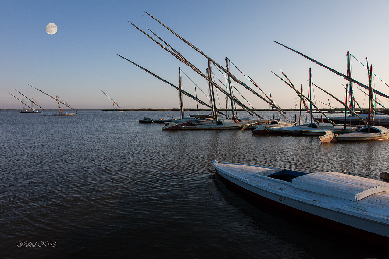 photo "Masts on the lake" tags: landscape, Africa, water