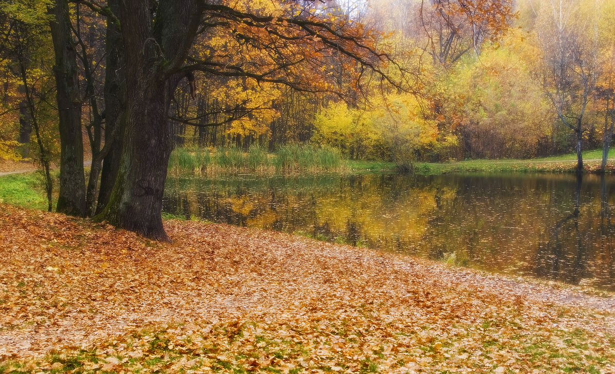 photo "Looking to the autumn" tags: , 