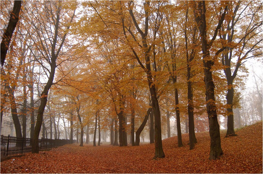 фото "..." метки: пейзаж, 