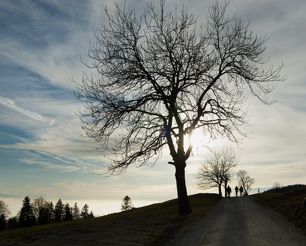 photo "***" tags: landscape, mountains, people, деревья