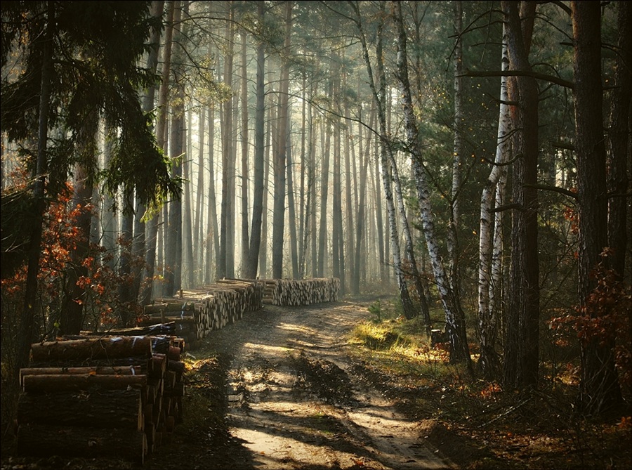 photo "*" tags: landscape, 