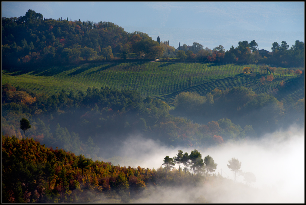 photo "Autumn" tags: landscape, 