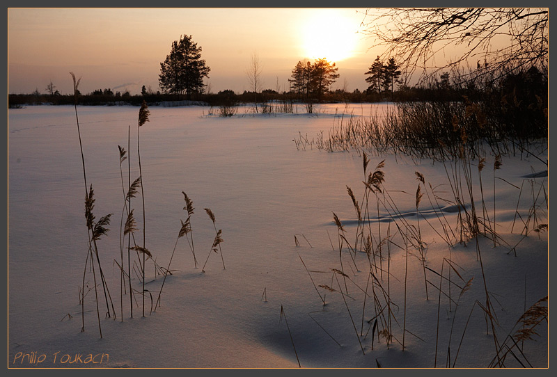 photo "Lozhkova Storozhka, Moscow region" tags: , field, grass, snow, sunset, winter, Ложклова Сторожка