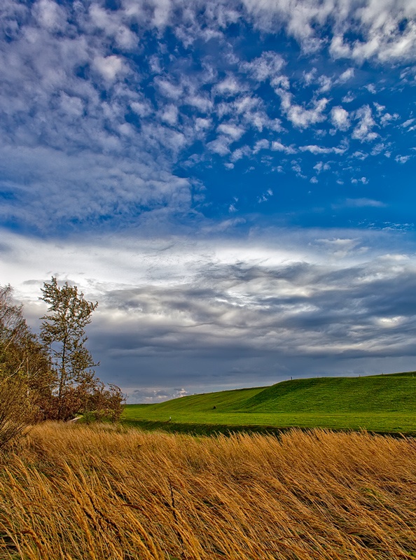 фото "Северный ветерок" метки: пейзаж, природа, ветер, небо, трава
