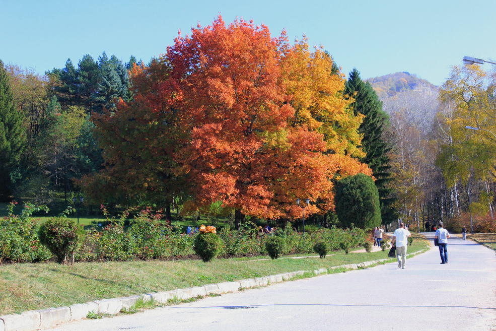 photo "***" tags: landscape, nature, 