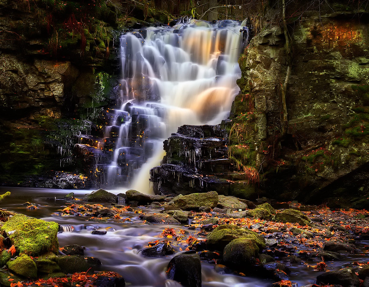 photo "***" tags: landscape, Europe, forest, summer, water