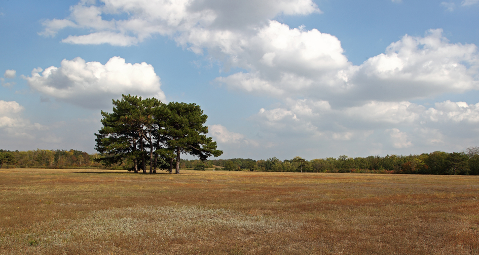 фото "***" метки: пейзаж, осень